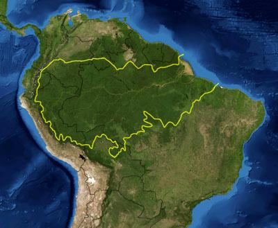 amazon_rainforest